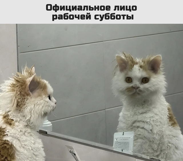 Зато потом целых 3 дня выходных 🎉