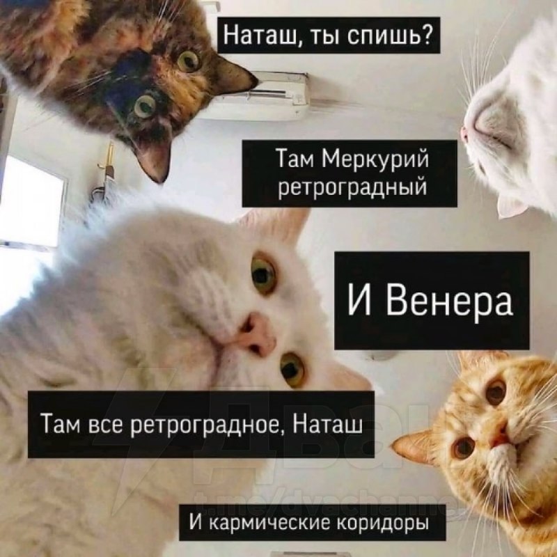 Сегодня начался ретроградный Меркурий — он продлится до 11 августа
Астрологи считают, что начинаетс