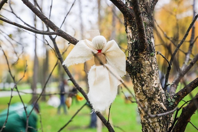 В Раменском появилась аллея памяти участников СВО.
В р...