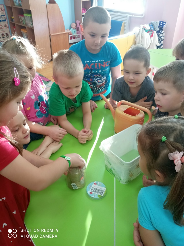 ?Маленькие исследователи: проект «Агрономия» в дейст...