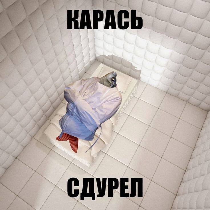 «как ты себя чувствуешь, как новая вакансия?»