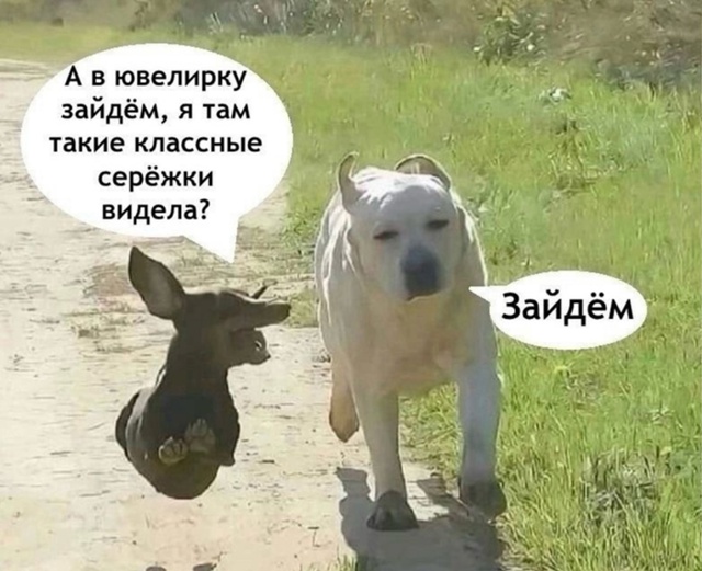 Тяжело мужчинам порой приходится