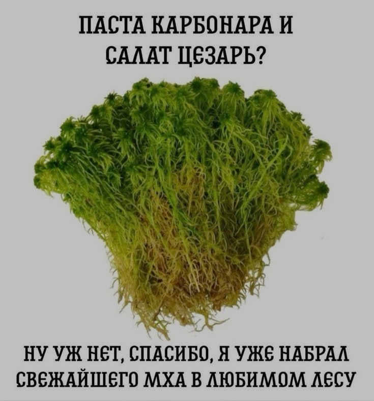 Ночная подборочка
Выходные, не спим