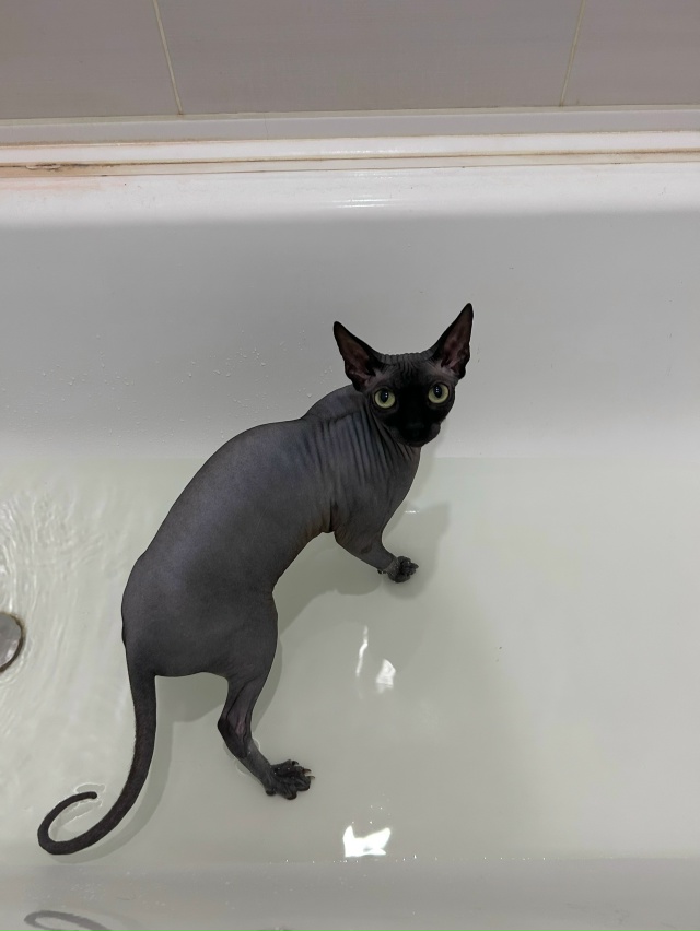 Немножко доволен, немножко не доволен🤣