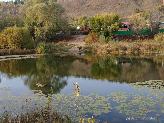 Наш Самарский край осенью - это настоящее волшебство...