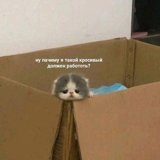 Утренняя подборочка