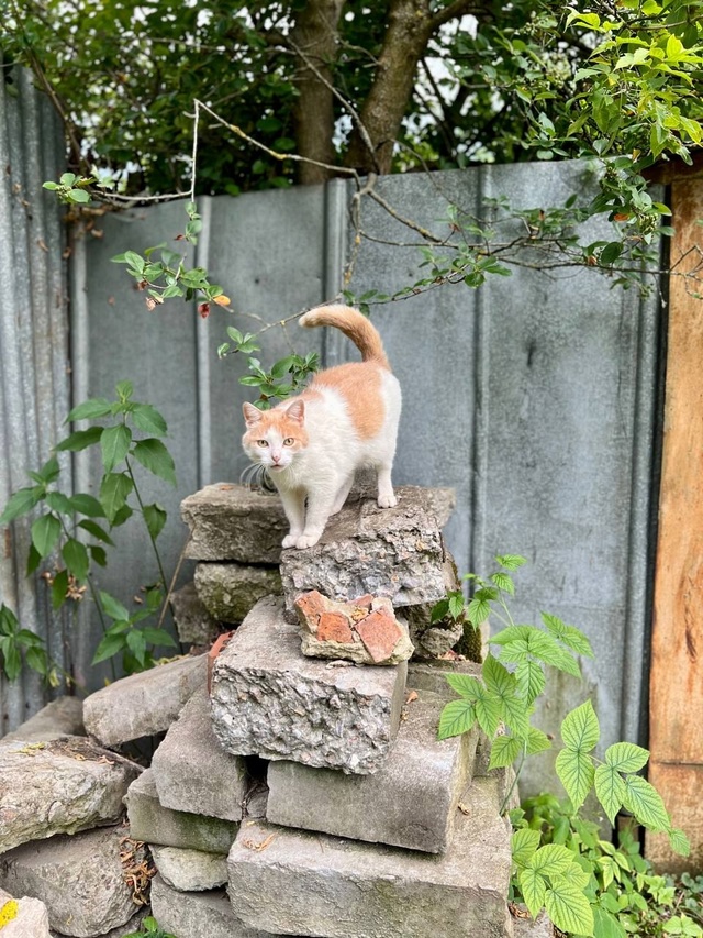 Дачная эстетика Балашихи
Эти тёплые и уютные кадры с?...