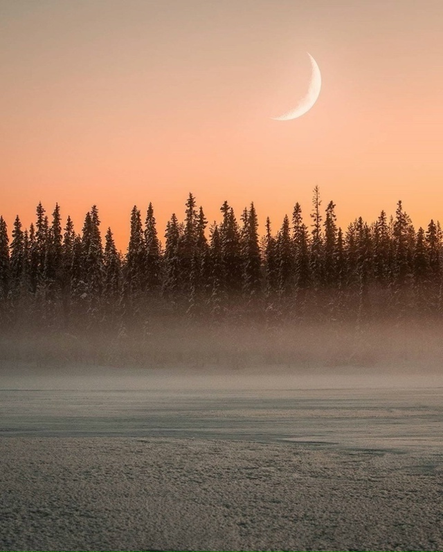 В жизни каждого наступает момент, когда нужно понять, ч...