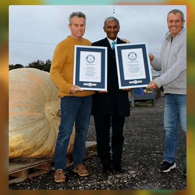 Безумные приколы
Пока одни выращивают на огороде петр?...