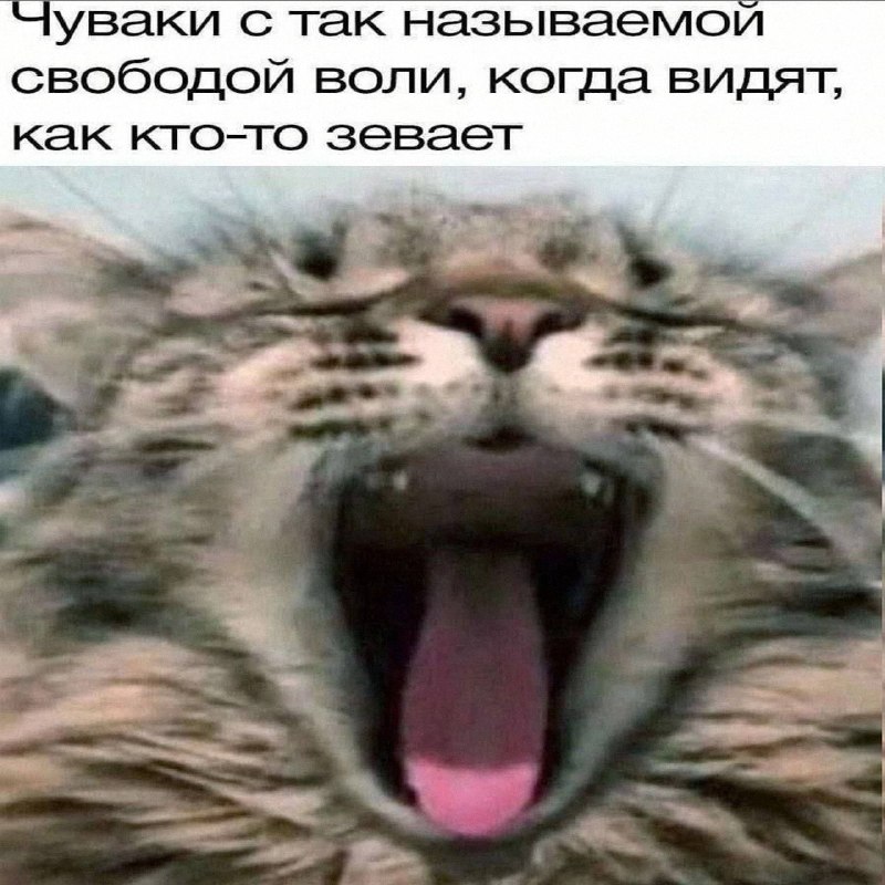 Утренняя подборочка