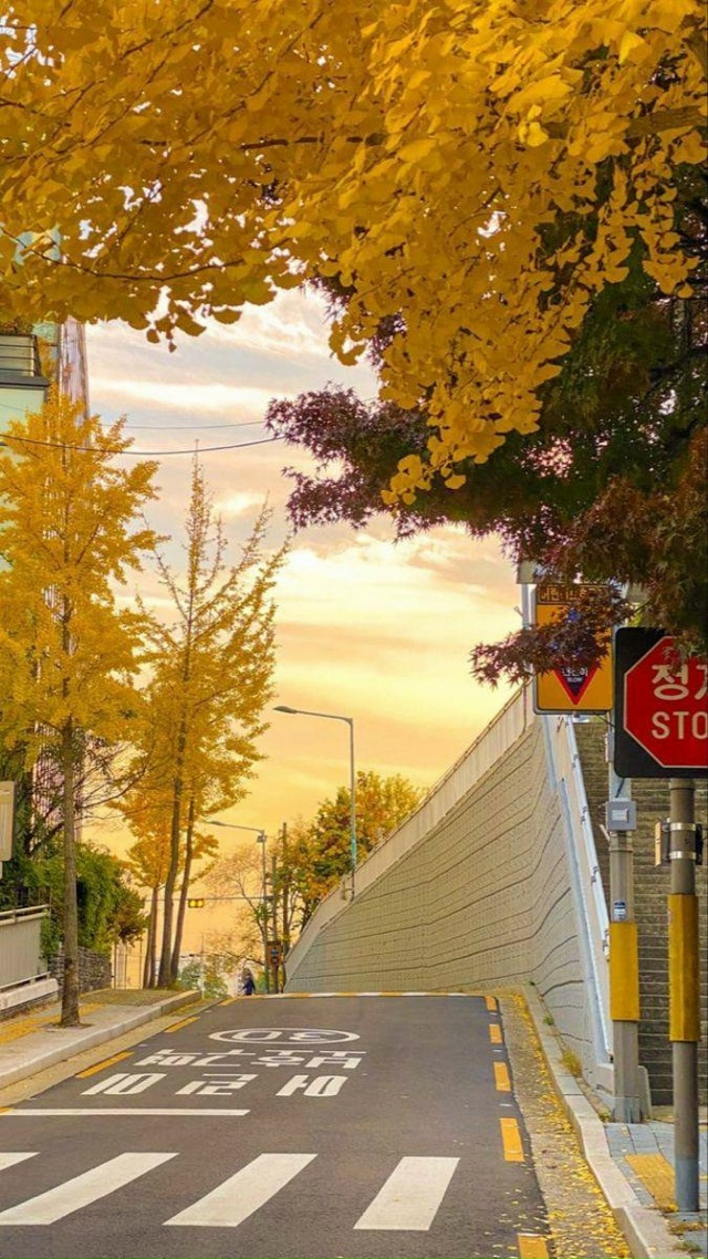 Корейские обои 🍂