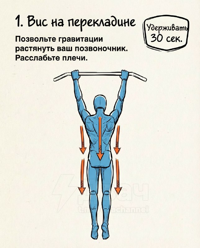 Подвезли лучшие упражнения для увеличения роста, исправления осанки и укрепления спины
Эти простые