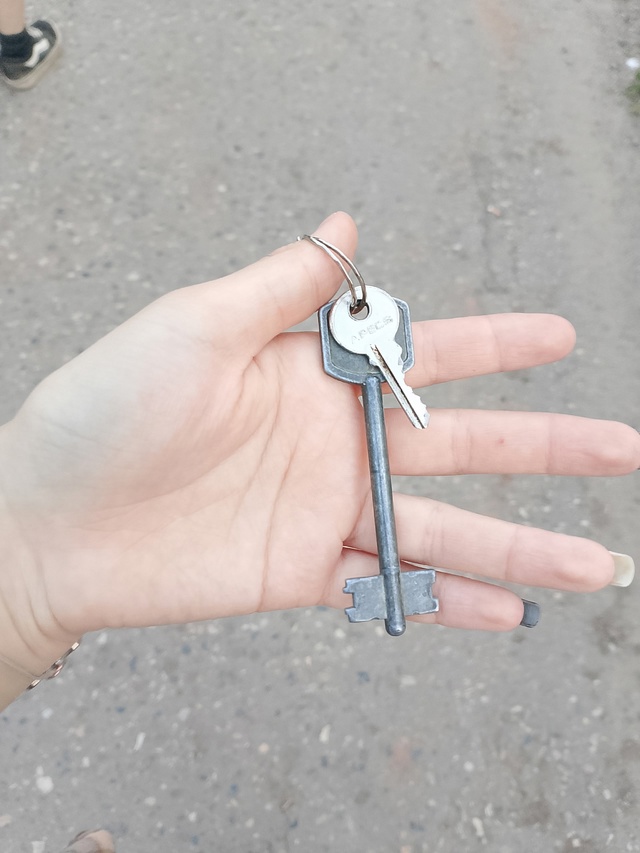 Нашли ключи у Рябиково со стороны озера.
