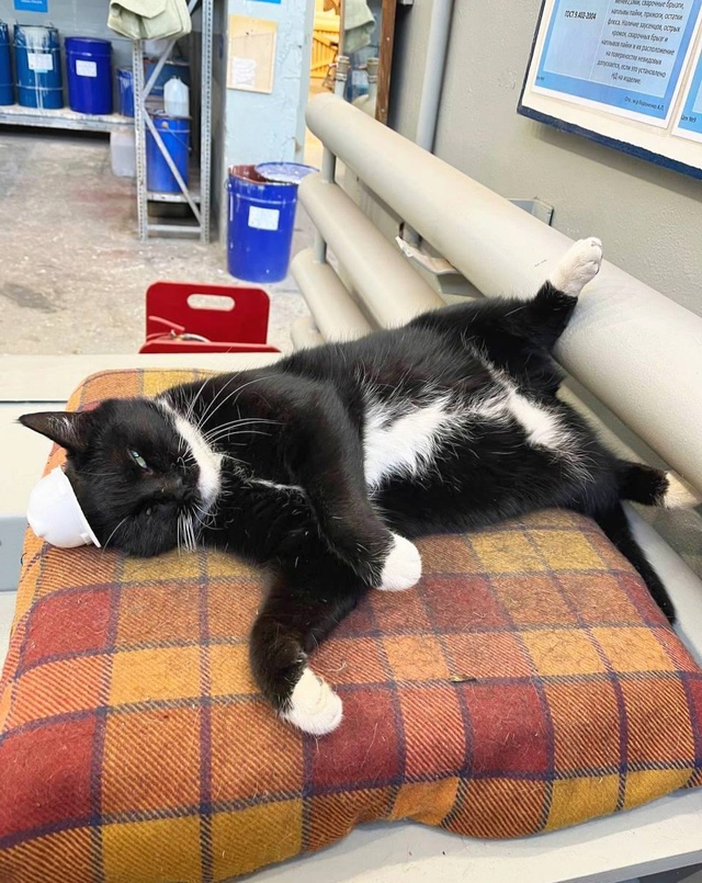 Работяги, а ведь и на отделке тоже честные люди чалятся...