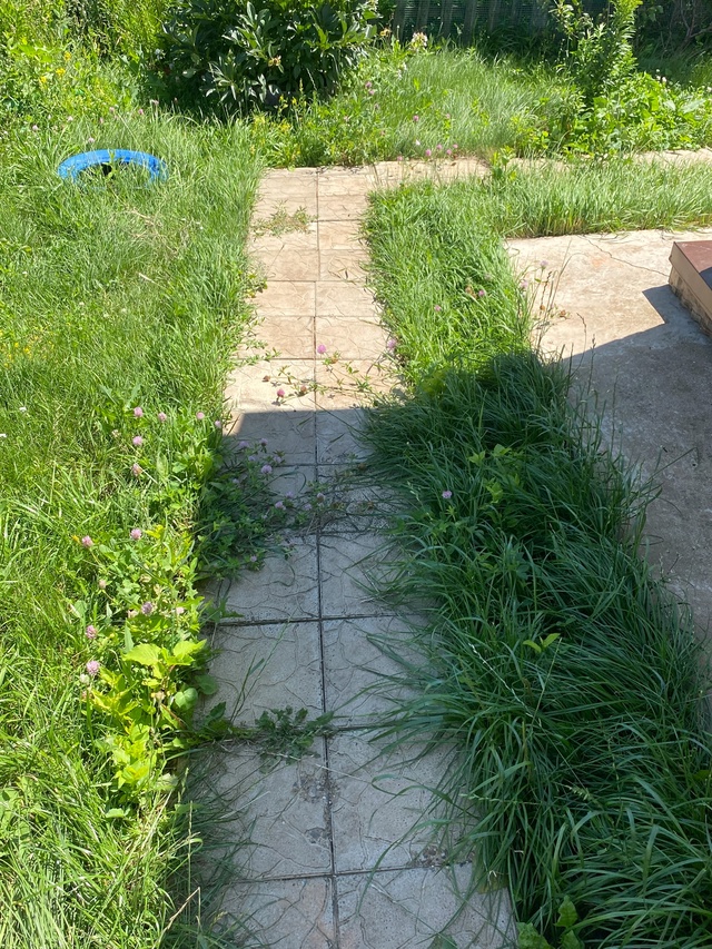 Продается дом 20 соток
С баней
Тел
89228599707