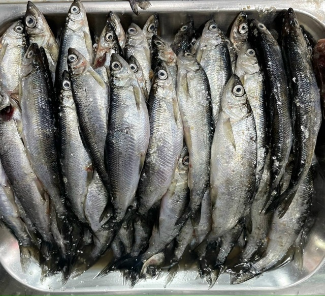 ❗️❗КРАЙНИЙ ПРИВОЗ СВЕЖЕЙ РЫБКИ РЯПУШКА (РЯПУС)️❗️❗...