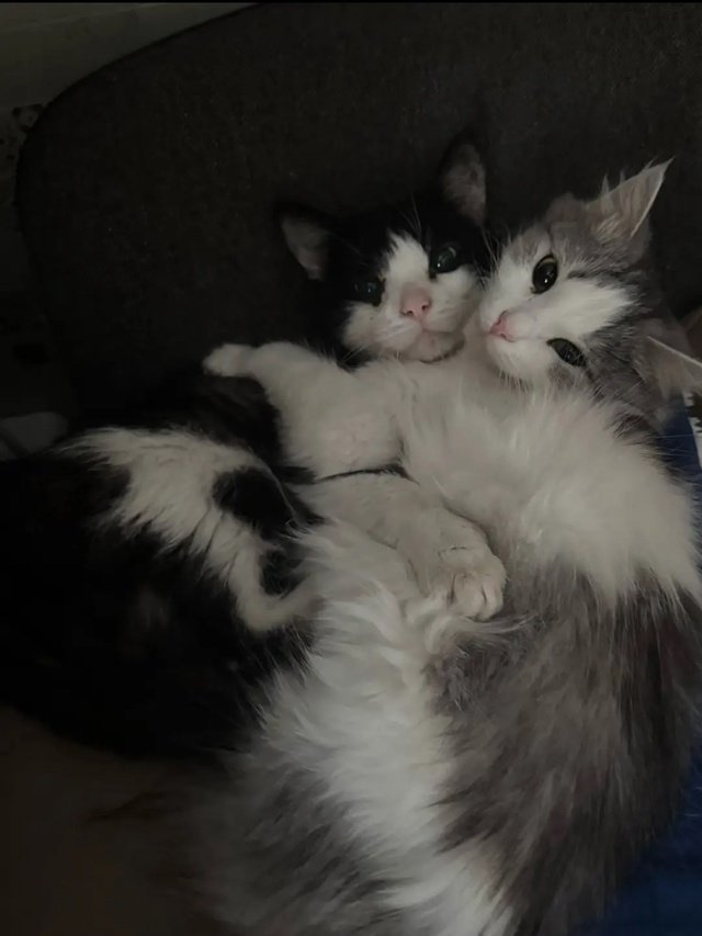 Мои милашки 🥰😍