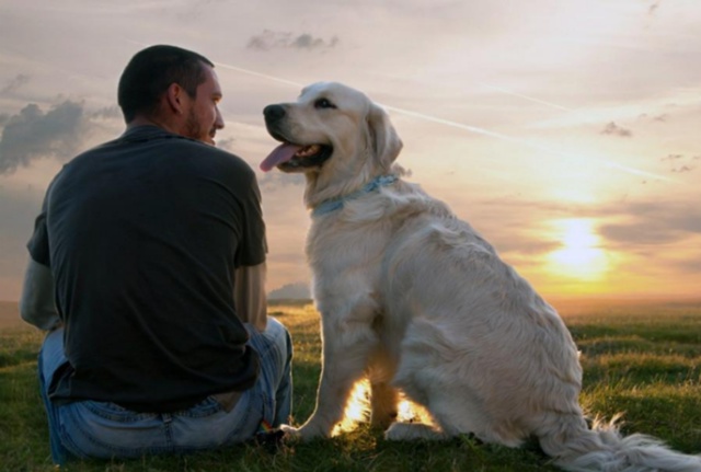 🐕Собаки и кошки спасают от болезней сердца, — кардиол...
