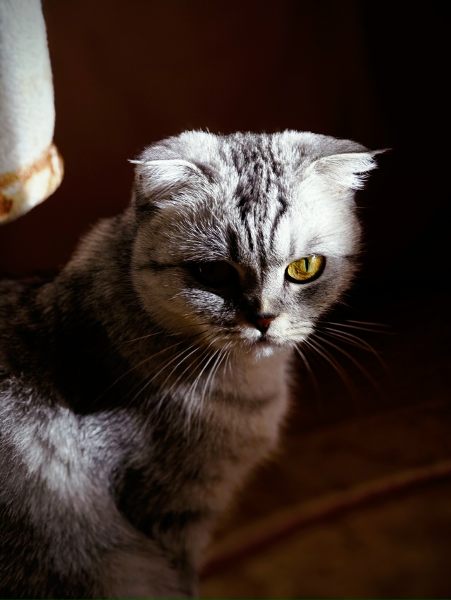 Моя нереальная 😇