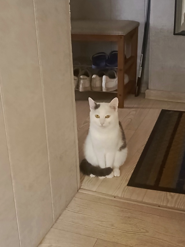 Моня.