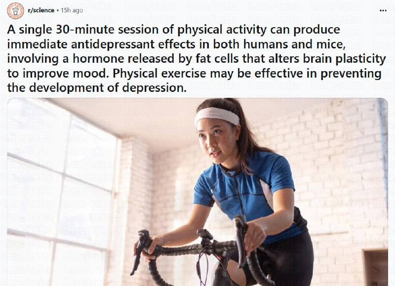 Всего лишь одна 30-минутная тренировка может вызвать немедленный антидепрессивный эффект и улучшить
