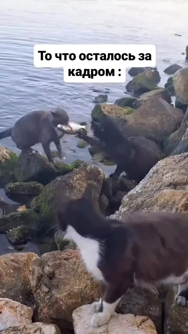 То, что не попало в кадр