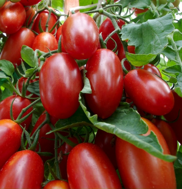 5 декабря пятница, на продовольственной части рынка СЕ?...