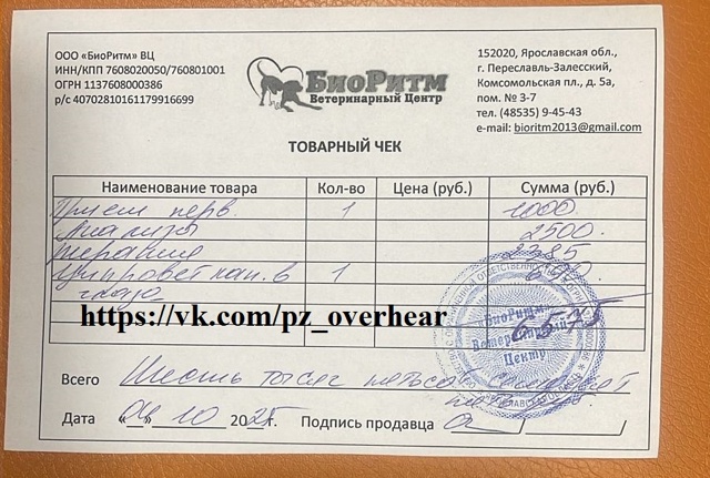 Друзья!
Мы все еще пытаемся насобирать денежку на пога...