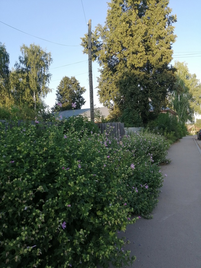 Как же красиво у нас в Очёре!
Спасибо жителям нашего за?...