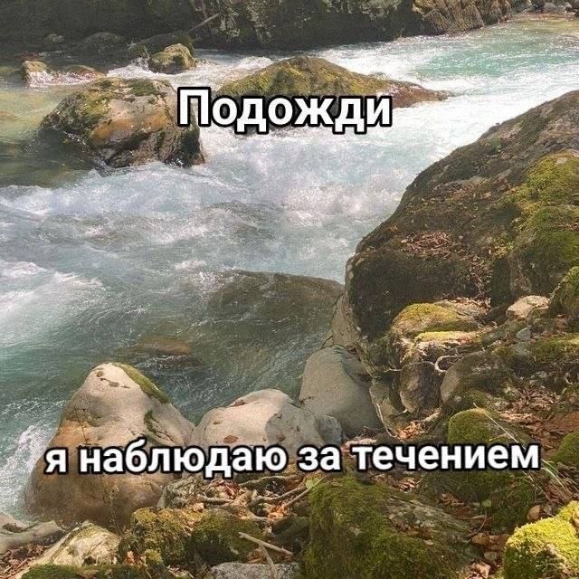Утренняя подборочка