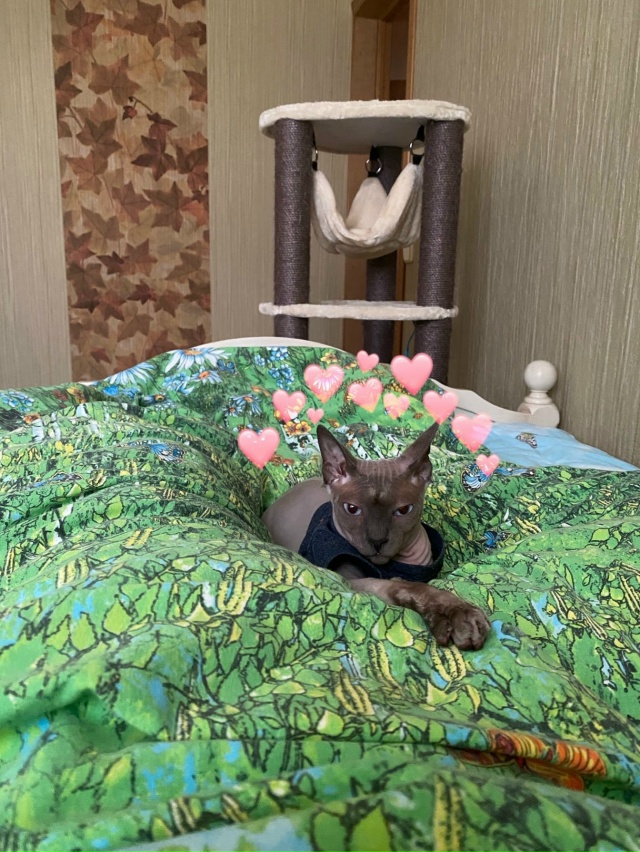 Бесик 🥰😸🥰