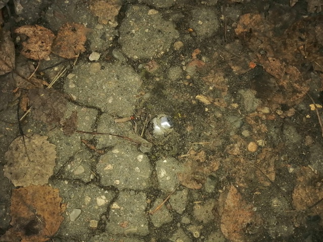 Видно Коношская администрация не ходит по тротуарам п?...