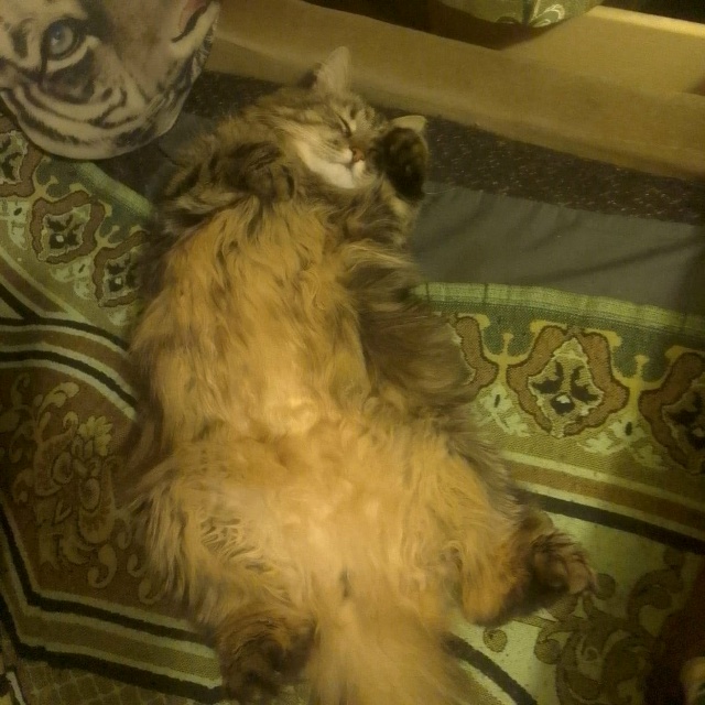 Еся отдыхает