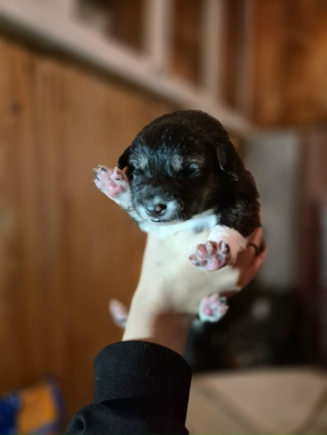 Ребята. Всем большой привет. Думаю, что многие видели п?...