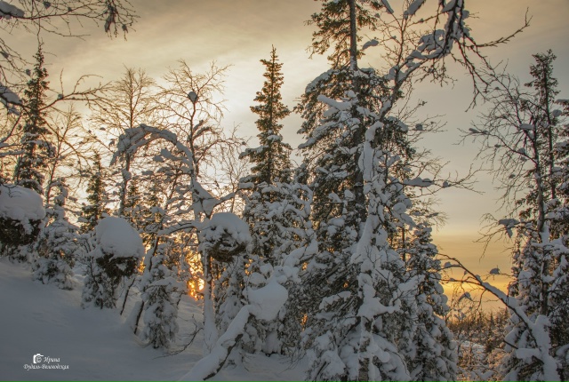 Новый год близко, а солнце уже низко!
[id67181780|Ирина Дудал...