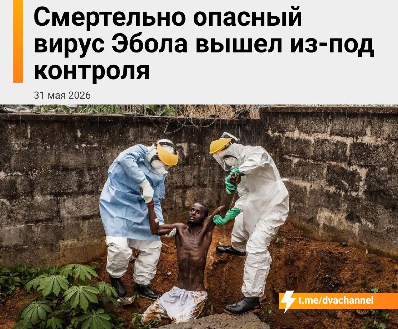 ❗️Смертельный вирус Эбола вышел из-под контроля: болезнь очень быстро распространяется в Центральной