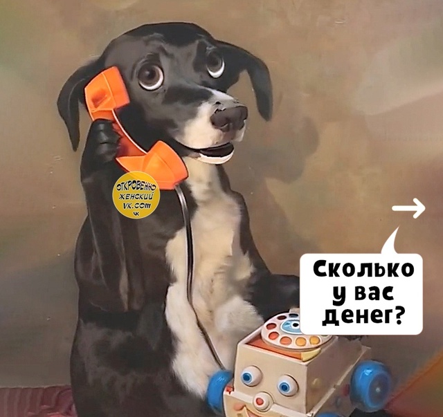 Дa уж.