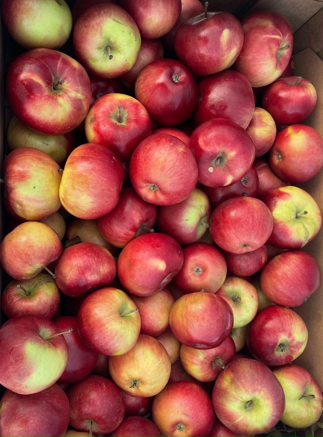 Дорогие друзья! С. КРАСНОУСОЛЬСКИЙ🍎🍐ПРИЕДЕМ НА ЯРМА?...