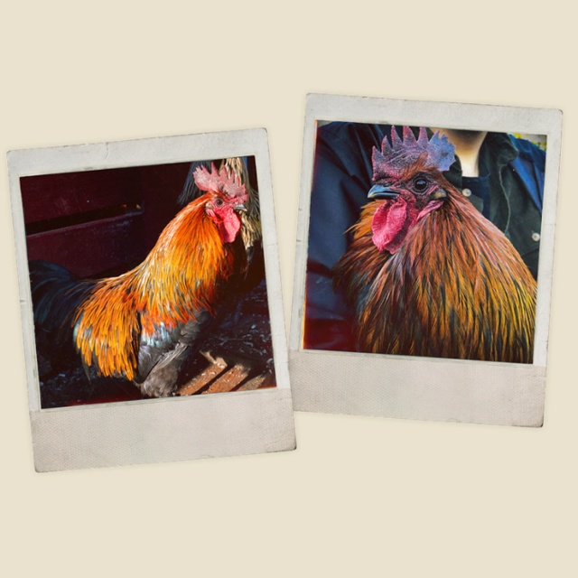 В блоге Arc Raiders 3D-художник студии Embark Йохан рассказал, ч?...