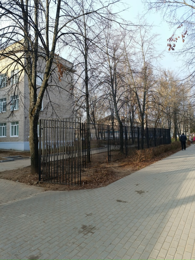 Внушительный забор. От кого огорадились?