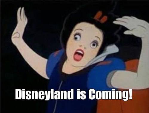 В Диснейленде аттракцион «Дом с привидениями» оказался слишком реалистичным — пожилая посетительница