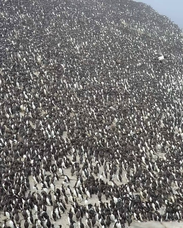 Остров Сахалин 🇷🇺