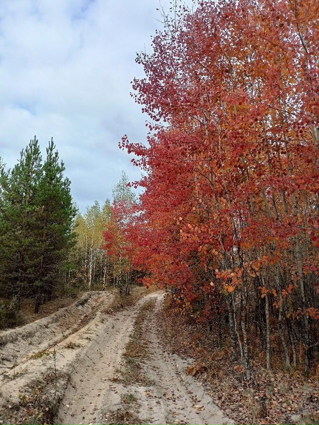 Доброй ночи, Никольск❤