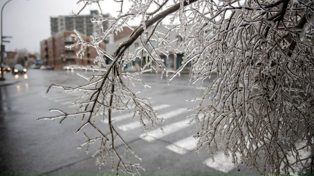 Ледяной дождь
Сегодня в Смоленской области будет обл?...