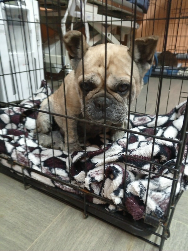 Сегодня в г. Окуловка ( район выезда из города направле?...