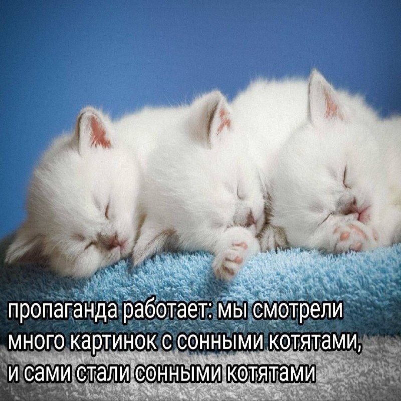 Утренняя подборочка