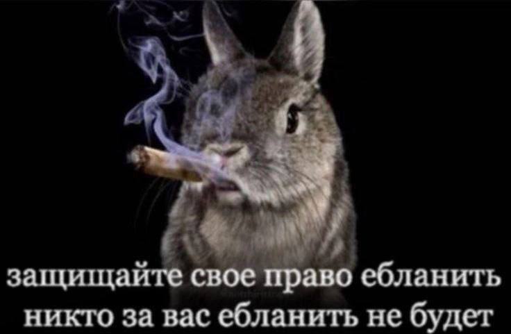 Утренняя подборочка