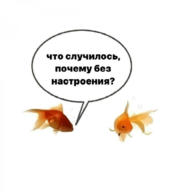 Немного о моей тревожности😅