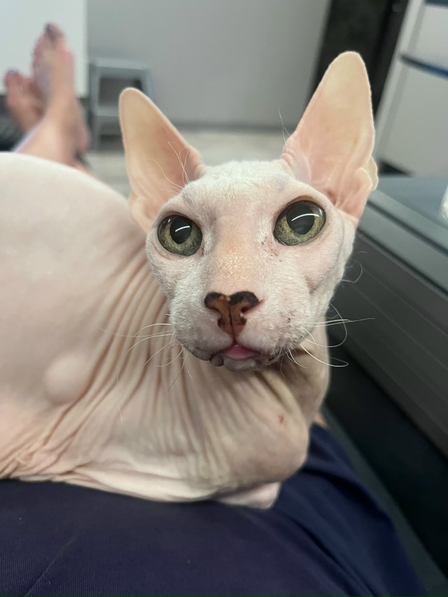 Филипп Сергеевич Э. В детстве был просто Феликсом, Феле...