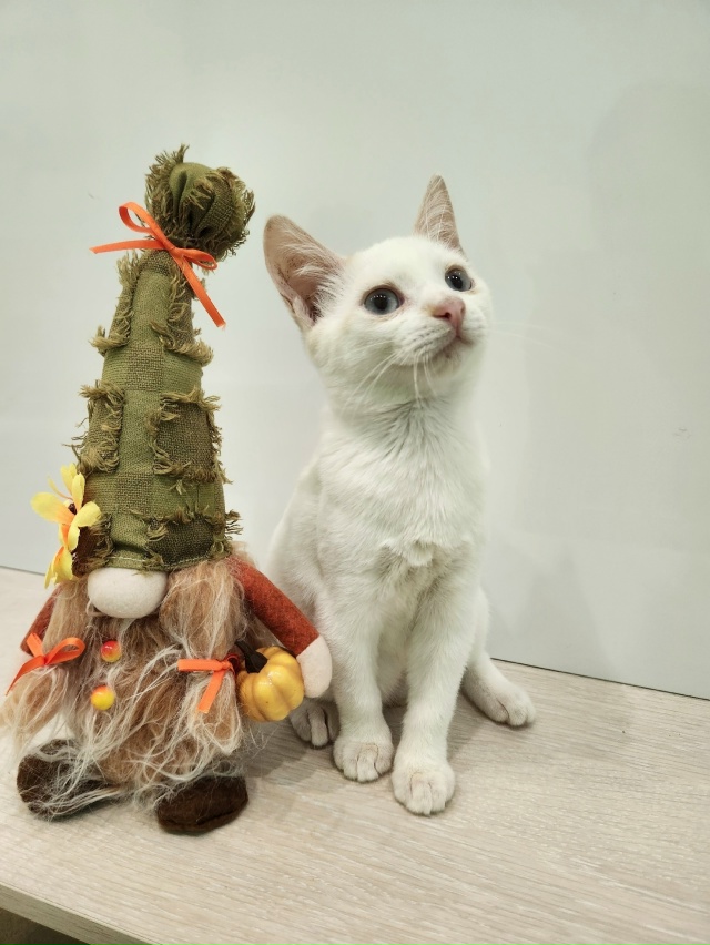 ВОЛГОРЕЧЕНСК ❗
ДВУМ БРАТИКАМ, БИБЕ И БОБЕ ОЧЕНЬ НУЖЕН...